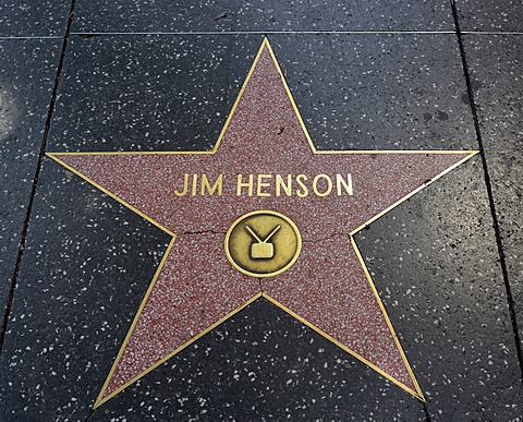 Terrazzo star for the artist Jim Henson, television category, Walk of Fame, Hollywood Boulevard, Hollywood, Los Angeles, California, United States of America, USA, PublicGround