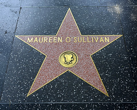 Terrazzo star for the artist Maureen O'Sullivan, film category, Walk of Fame, Hollywood Boulevard, Hollywood, Los Angeles, California, United States of America, USA, PublicGround