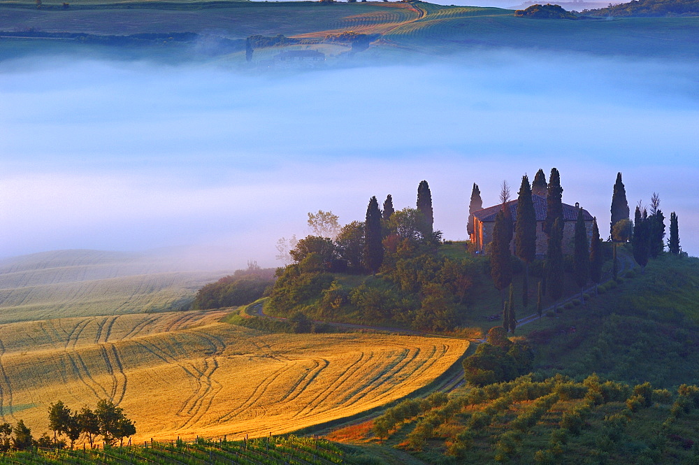 The Belvedere at dawn, morning fog, San Quirico d'Orcia, Val d'Orcia, Orcia Valley, UNESCO World Heritage Site, Siena Province, Tuscany, Italy, Europe