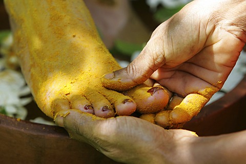 LKA, Sri Lanka : Siddhalepa Ayurveda Resort, Food massage, oiling, herb bath fot feet.