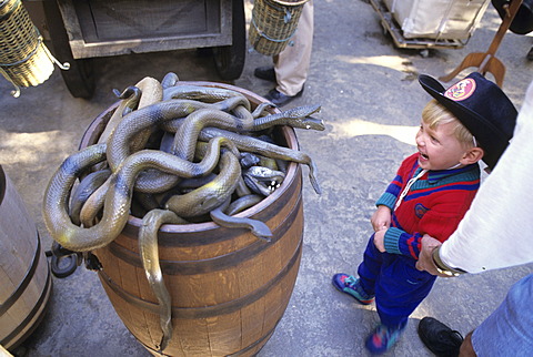 USA, United States of America, California: Disneyland, rubber snakes as souvenirs.