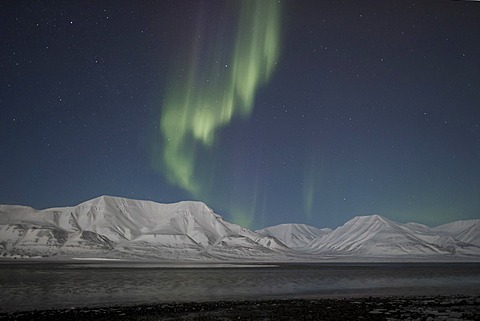 Green Northern Lights, Aurora Borealis, over the mountains of Longyearbyen lit by the crescent moon, Spitsbergen, Svalbard, Norway, Europe