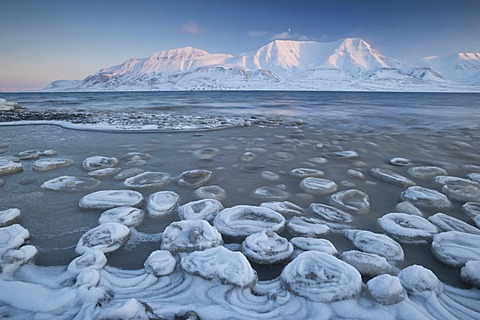 Sea ice forming on the Advent Fjord, Mt Hjorthfellet at back, Longyearbyen, Spitsbergen, Svalbard, Norway, Europe,