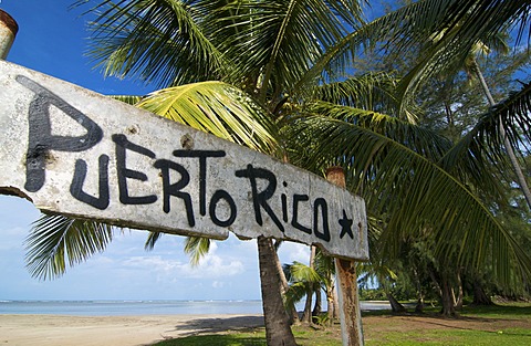 Beach with palm trees, Luquillo Beach, Puerto Rico, Caribbean