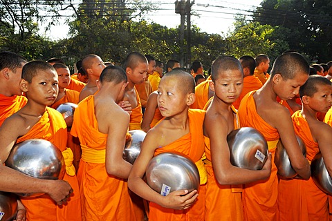 Novice Buddhist monks at a dawn ceremony in Chiang Mai, Thailand, Asia