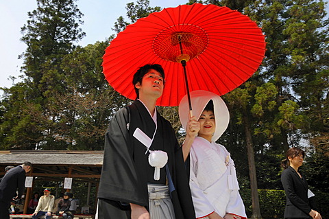 Japanese wedding couple wearing traditional wedding kimonos, bride wearing a bonnet, groom holding a red parasol in front of the Kamigamo Shrine, Kyoto, Japan, Asia