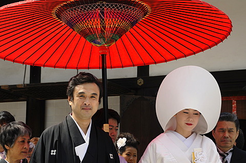 Bride and groom, bride with traditional hair hood in the Shimogamo shrine, Kyoto, Japan, East Asia, Asia