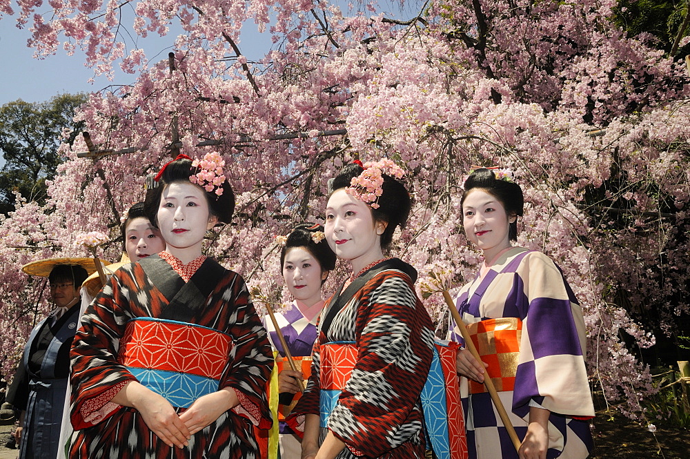 Japanese women in kimonos, procession participants, Hirano Shrine, Kyoto, Japan, East Asia, Asia