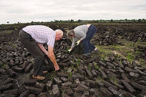 Peat briquettes for private domestic fuel being dried by the inhabitants themselves, Birr, Offaly, Midlands, Ireland, Europe