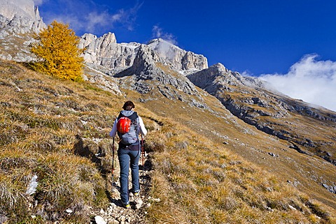 Ascent of Piz Boe Mountain on the Piazzetta Climbing Route, Dolomites, Alto Adige, Italy, Europe