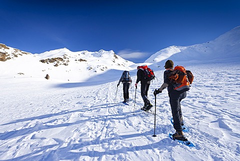 Snow shoe hikers during ascent to Mt Hoertlahner above Durnholz, Sarntal valley, Mt Hoertlahner at back, South Tyrol, Italy, Europe