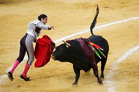 Matator, bullfighter, Benidorm, Spain, Europe