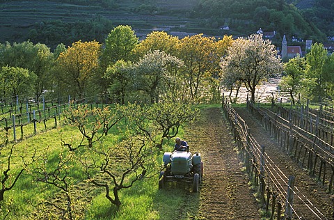Tractor Wachau Lower Austria