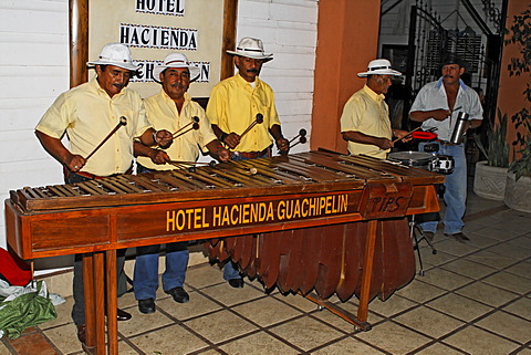 Marimba, Hotel Hacienda Guachipelin Lodge, Rincon de la Vieja, Guanacaste, Costa Rica