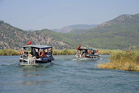 Excursion boats on a river, river delta in the nature preservation area between Caunos and Iztuzu Beach, Dalyan, Mugla Province, Turkey, Asia Minor