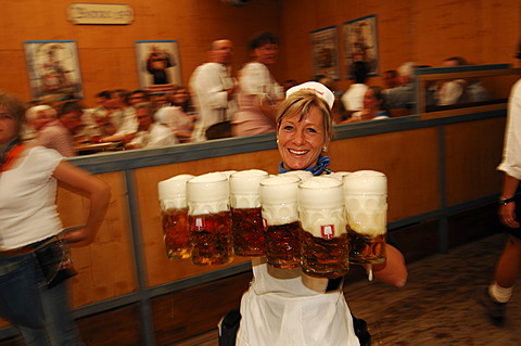 Waitress, Wies\'n, October fest, Munich, Bavaria, Germany, Europe