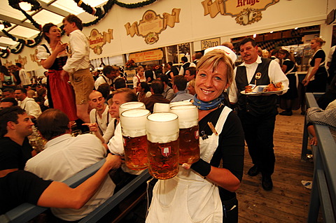 Waitress, Wies\'n, October fest, Munich, Bavaria, Germany, Europe