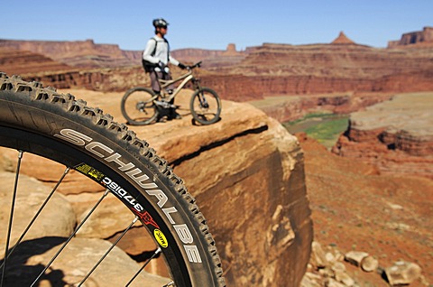 Mountain bikers, Colorado River, White Rim Trail, Moab, Utah, USA