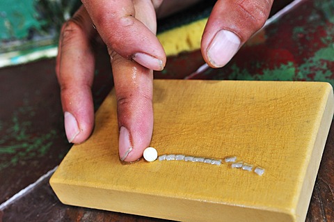 Tauahei pearl farm, Raiatea or Ra'iatea, Leeward Islands, Society Islands, French Polynesia, Pacific Ocean