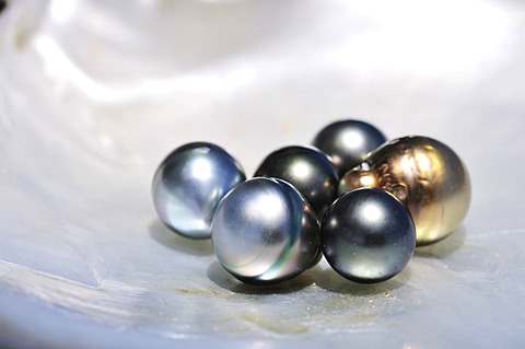 Pearls, Tauahei pearl farm, Raiatea or Ra'iatea, Leeward Islands, Society Islands, French Polynesia, Pacific Ocean