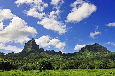 Mount Tohiea, Valle de Gauguin, Moorea, Windward Islands, Society Islands, French Polynesia, Pacific Ocean