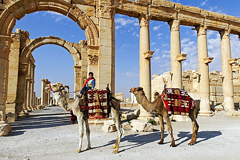 Boy with camels in front of the ruins of the Palmyra archeological site, Tadmur, Syria, Asia