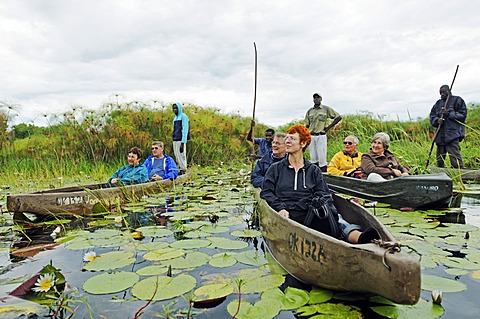 Guides and boatmen with poles in mokoro or makoro canoes, tourists in the back of the boats, Okavango Delta, Botswana, Africa