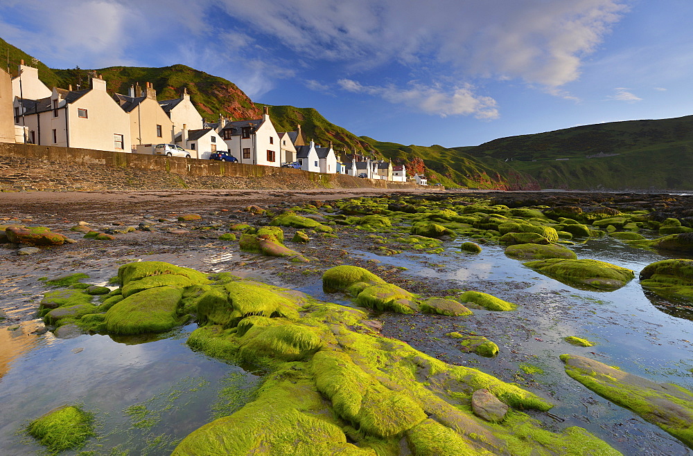 Algae-covered rocks at low tide and houses in the Seatown area of Gardenstown, Banffshire, Scotland, United Kingdom, Europe