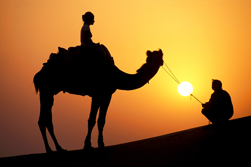 Sunset, silhouette, female tourist on a camel and camel driver, camel safari, Thar Desert, near Jaisalmer, Rajasthan, India, Asia