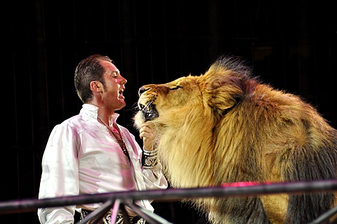 Lion-dressage, trainer Martin Lacey Jr. with the lion Kasanga, Circus Krone, Munich, Bavaria, Germany, Europe