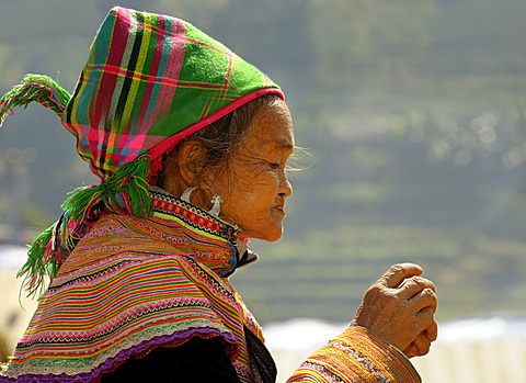 Profile of old Vietnamese woman in front of rice terraces, Bac Ha, North Vietnam, Southeast Asia