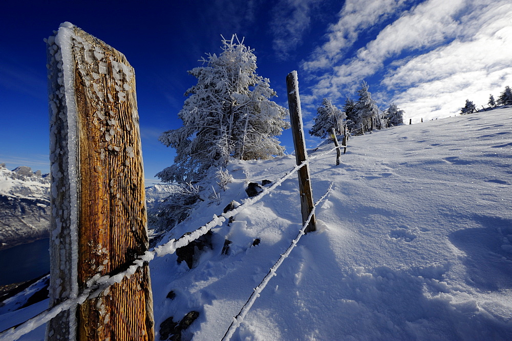 Fence in winter landscape, Firtzstock, Glarus, Eastern Switzerland, Switzerland, Europe