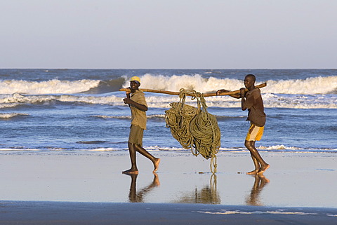 Fishermen carrying a heavy fishing net, beach north of Quelimane, Mozambique, Africa