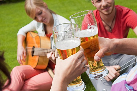 Group of young people at a barbecue with beer and a guitar in the garden