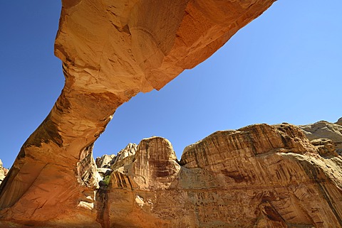 Hickman Bridge Trail, Capitol Reef National Park, Utah, USA