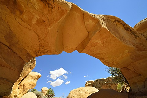 "Metate Arch", natural arch, Devil's Garden, eroded hoodoos and Entrada Sandstone rock formations, Goblins, Hole-In-The-Rock-Road, Grand Staircase-Escalante National Monument, GSENM, Utah, Southwestern USA, USA