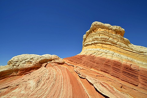 Lollipop Rock, Brain Rocks at White Pocket, eroded Navajo sandstone rocks with Liesegang bands or Liesegang rings, Pareah Paria Plateau, Vermillion Cliffs National Monument, Arizona, Utah, Southwestern USA, USA