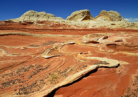 Brain Rocks at White Pocket, eroded Navajo sandstone rocks with Liesegang bands or Liesegang rings, Pareah Paria Plateau, Vermillion Cliffs National Monument, Arizona, Utah, Southwestern USA, USA