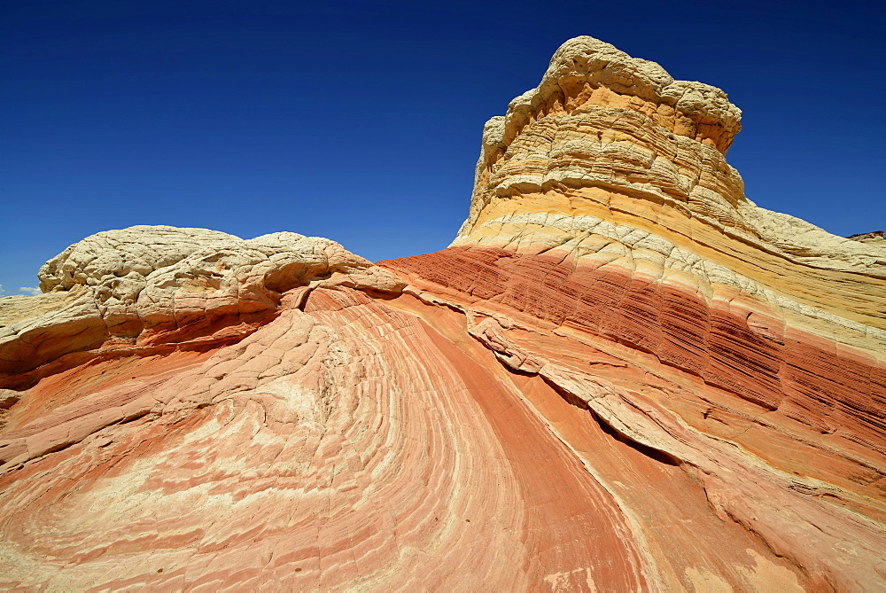 Lollipop Rock, Brain Rocks at White Pocket, eroded Navajo sandstone rocks with Liesegang bands or Liesegang rings, Pareah Paria Plateau, Vermillion Cliffs National Monument, Arizona, Utah, Southwestern USA, USA