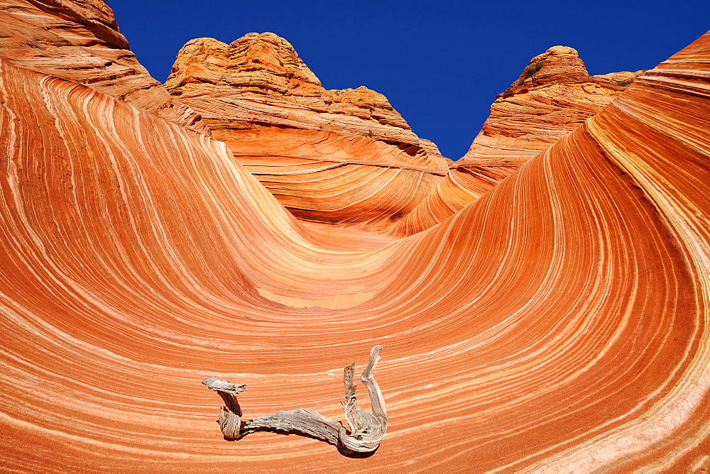 The Wave, banded eroded Navajo sandstone rocks with Liesegang bands or Liesegang rings, North Coyote Buttes, CBN, Pareah Paria Canyon, Vermilion Cliffs National Monument, Arizona, Utah, Southwestern USA, USA