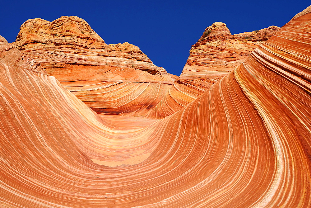 The Wave, banded eroded Navajo sandstone rocks with Liesegang bands or Liesegang rings, North Coyote Buttes, CBN, Pareah Paria Canyon, Vermilion Cliffs National Monument, Arizona, Utah, Southwestern USA, USA