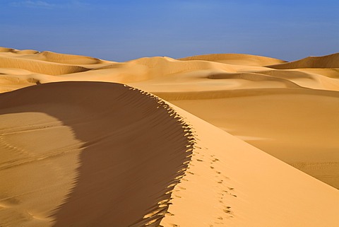 Footprints on a dune, Libyan Desert, Libya, Africa