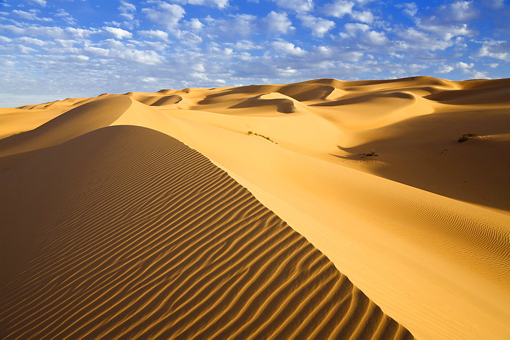 Ubari dunes in the Libyan Desert, Sahara, Libya, North Africa, Africa