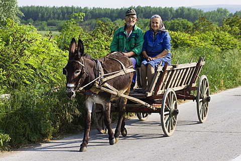 Farmer with donkeycart, Bulgaria, Europe