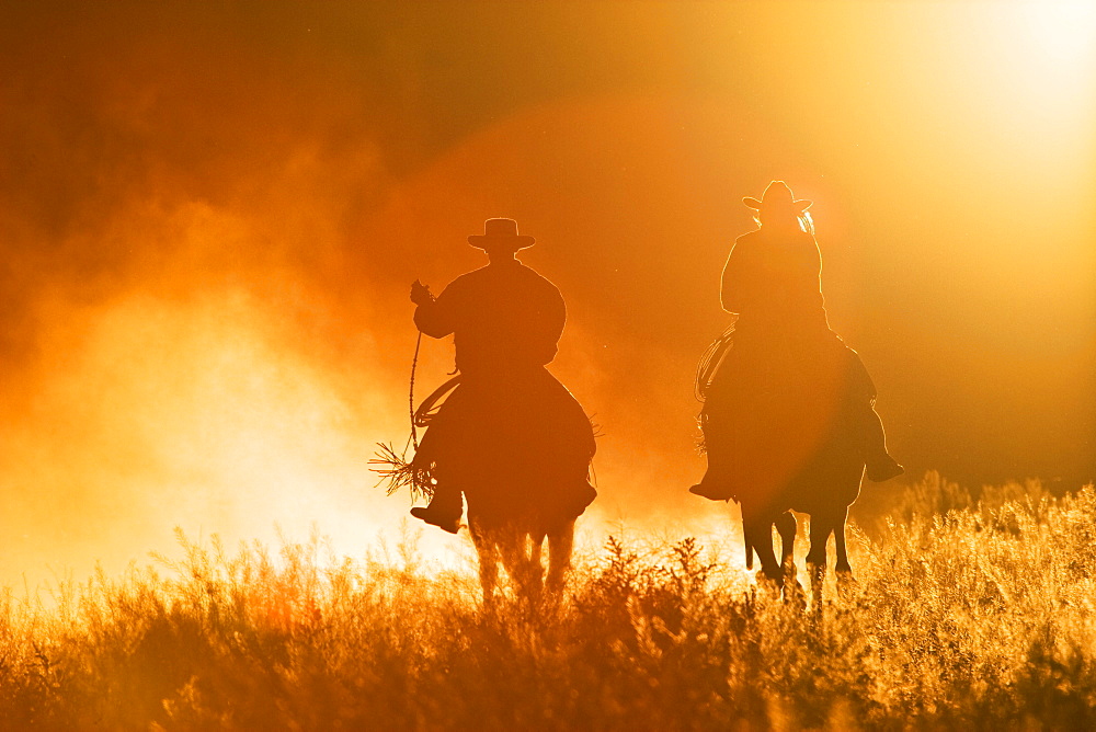 Cowboys horseriding at sunset, Oregon, USA