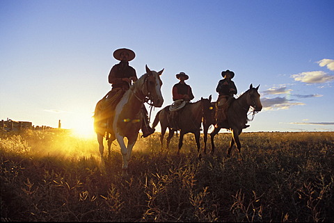 Cowboys horseriding at sunset, Oregon, USA