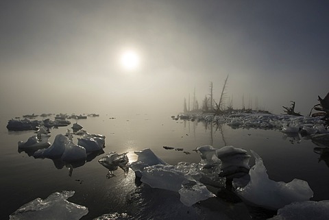 Beached iceberg and fog at Pakenham Point, Prince William Sound, Alaska