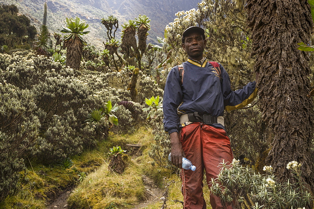 Hiking, trekking guide in the Rwenzori Mountains, Kasese, Uganda, Africa