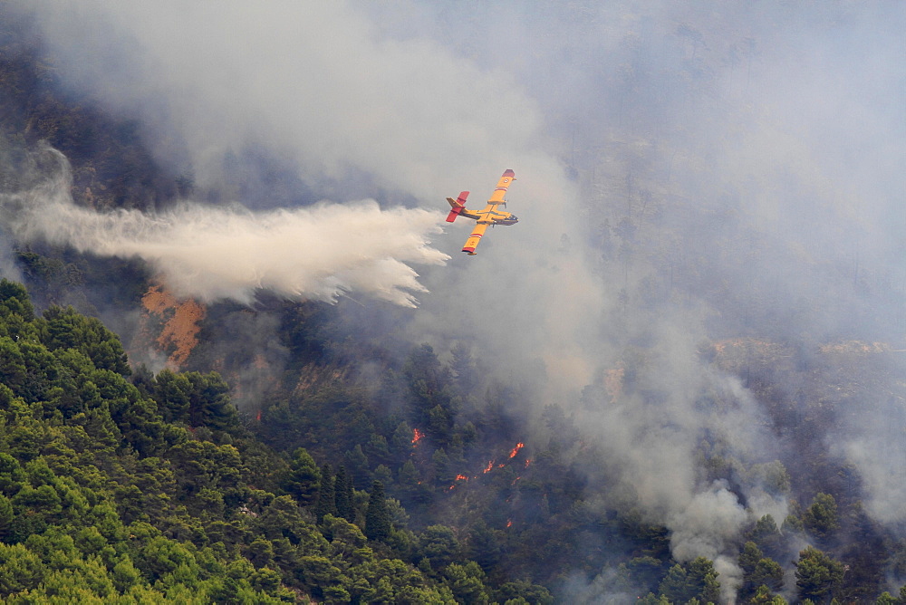 Fire extinction, firefighting aircraft Canadair CL 415, French SÃƒÂ©curitÃƒÂ© Civile, dropping seawater, large-scale forest fire in Castellar, Maritime Alps