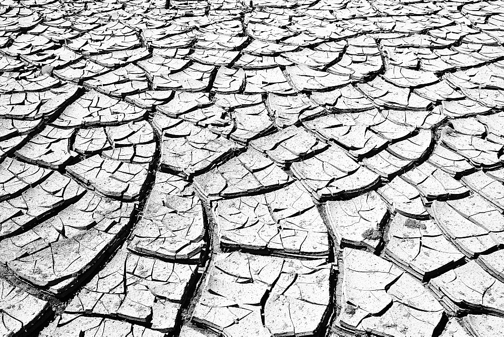 Cracked mud in a dried up water hole, Painted Desert, Hopi Reservation, Navajo Nation Reservation, Arizona, Southwest, United States of America, USA, North America